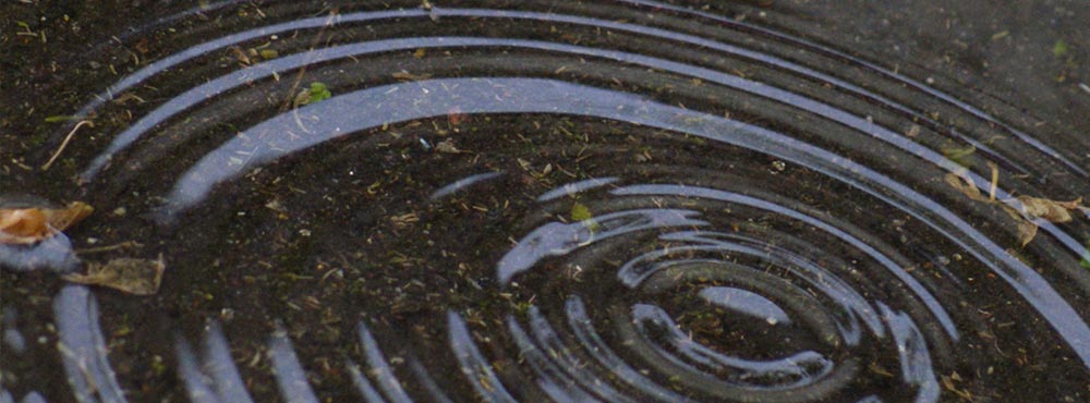 Ripples in Water, Photo by Jereen